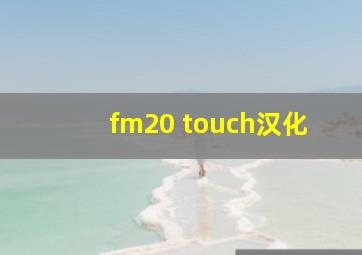 fm20 touch汉化